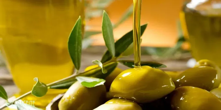 blend aceite mejores blends