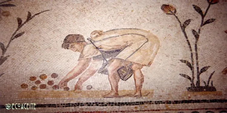 origenes del aceite