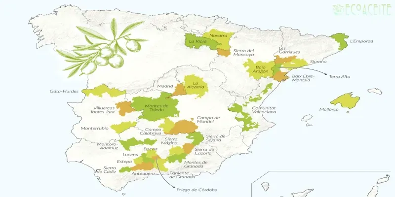denominacions origen españa aceite